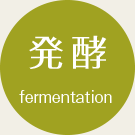 発酵